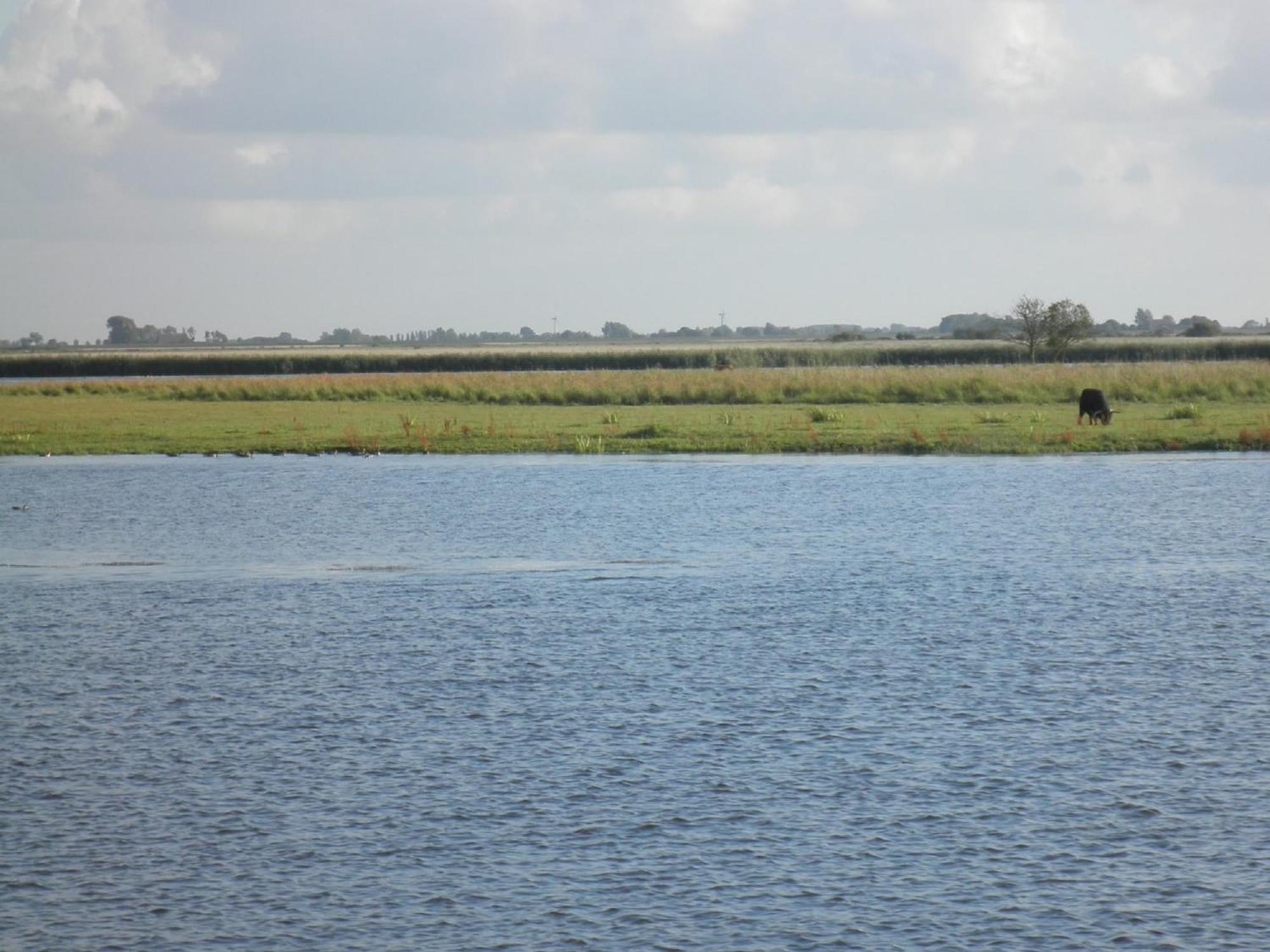 8 Pers House 'Capitein Theis' With Seaside In Front Of The Lauwersmeer Anjum Exterior foto
